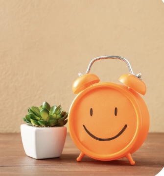 Cute clock with plant
